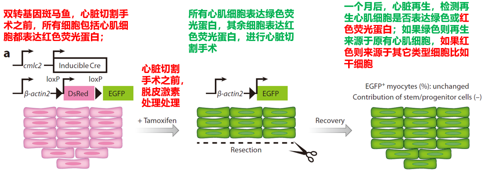 image-20251226165222497