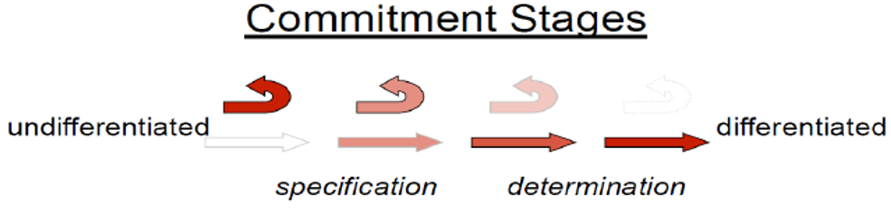 image-20251226184730334