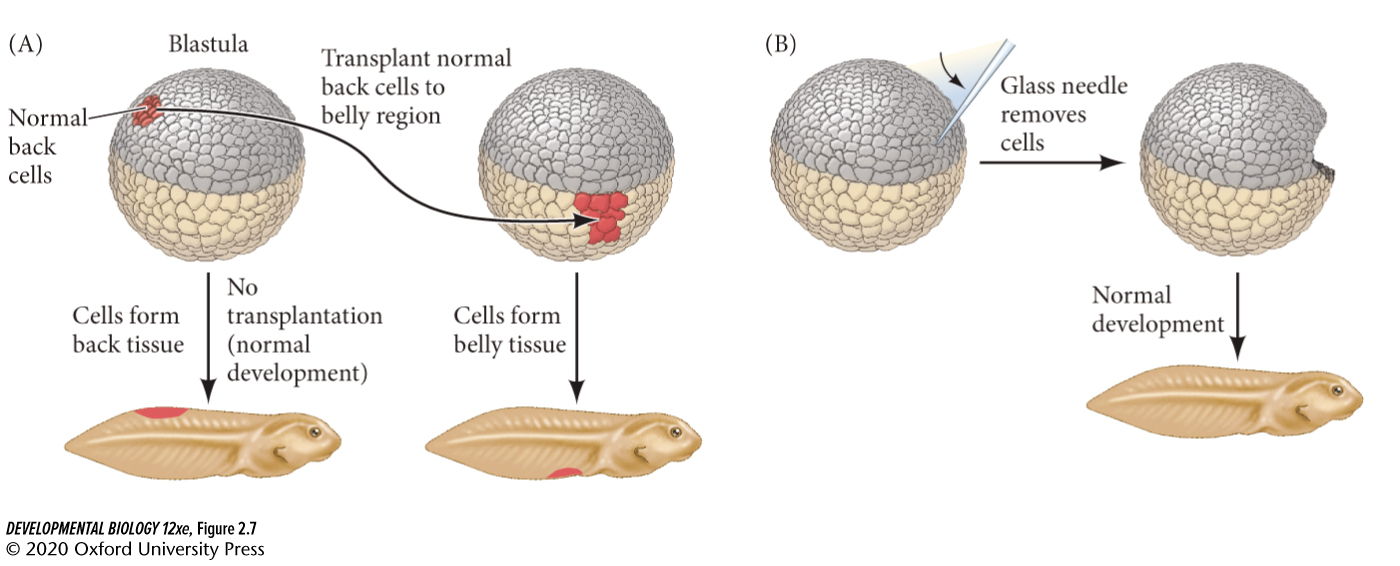 image-20251226191746829