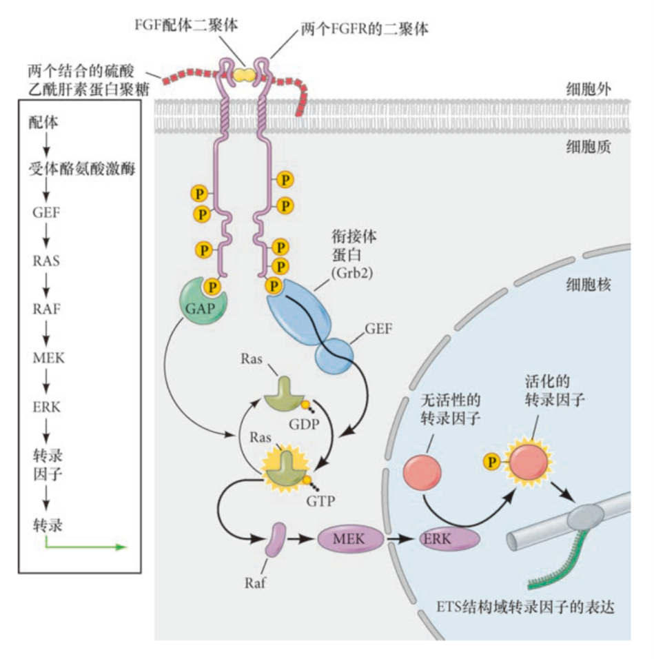 image-20251229133620749