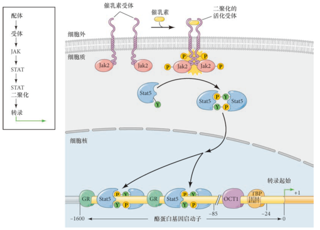 image-20251229133831942