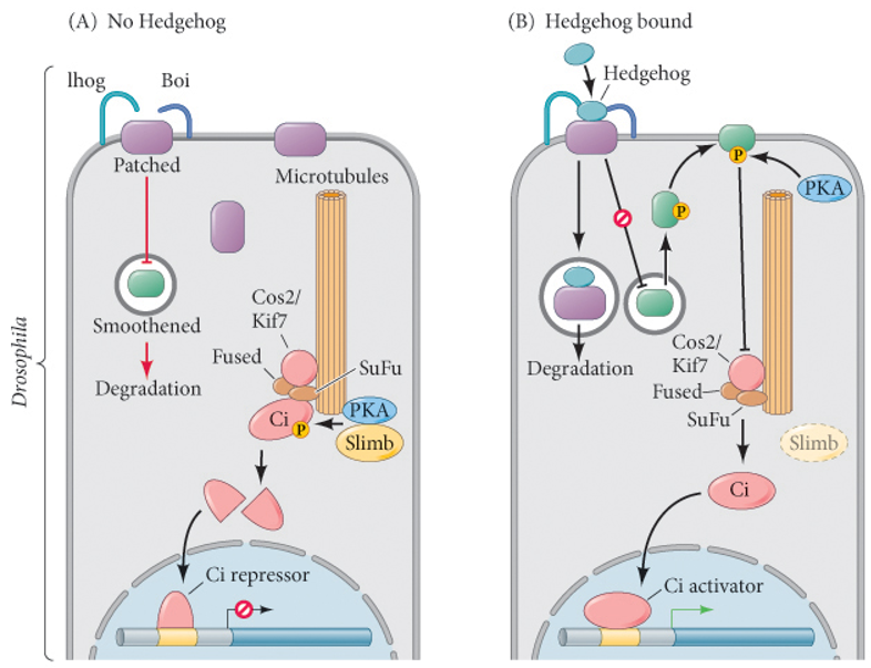 image-20251229134822306