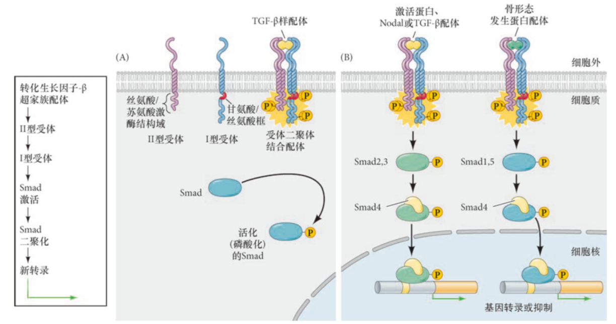 image-20251229140428752