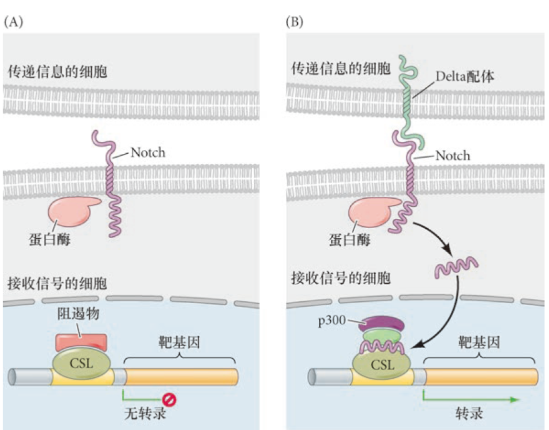 image-20251229142309729