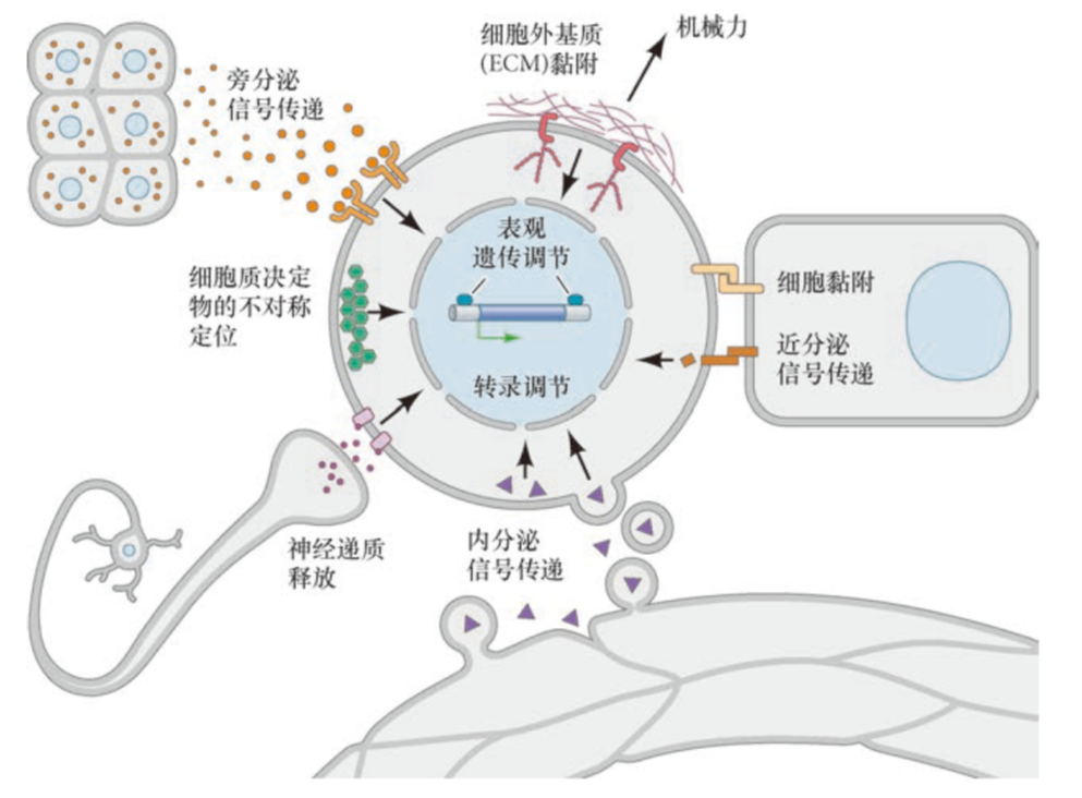 image-20251229143550393