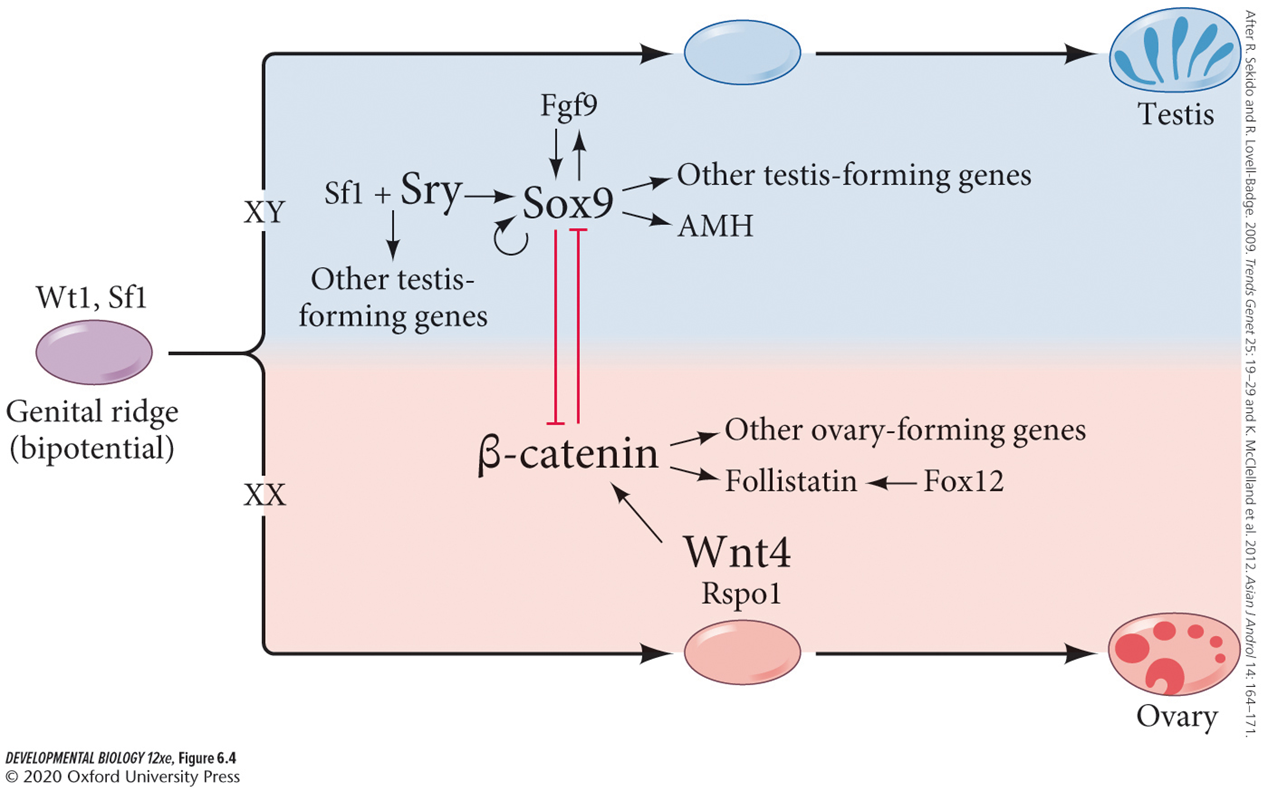 image-20260101231736629