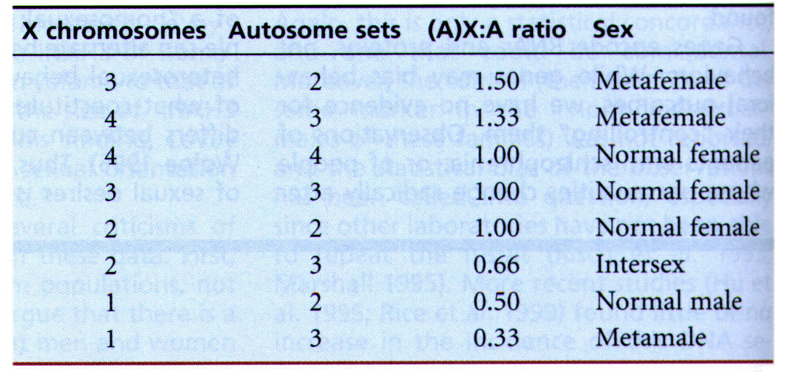 image-20260101232240845