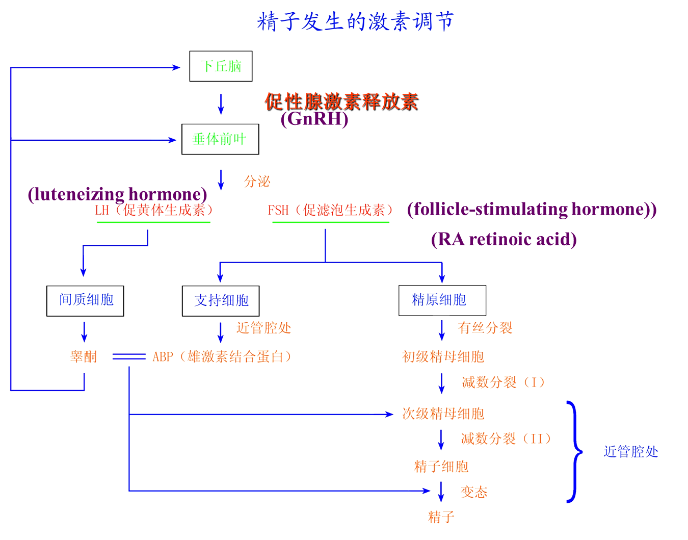 image-20260102013256486