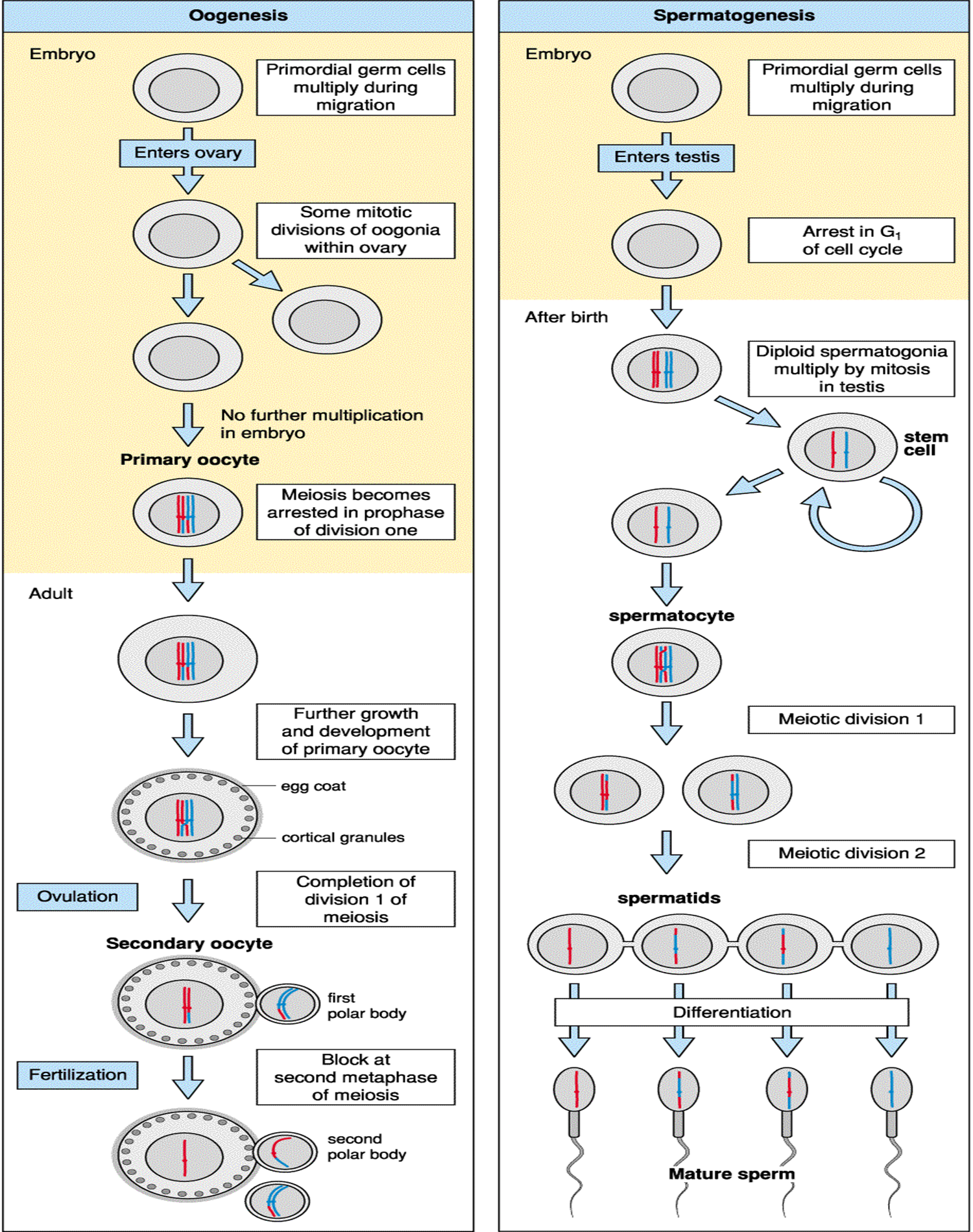 image-20260102022602306