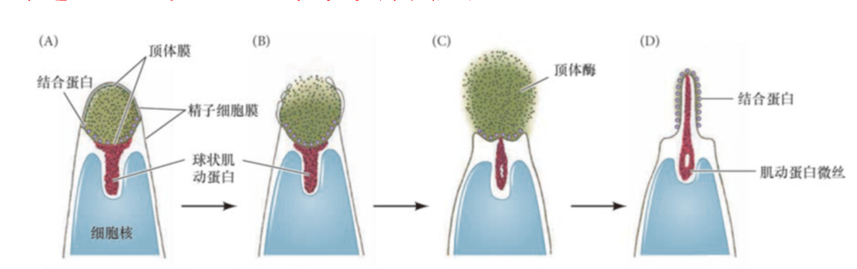 image-20260102151247305