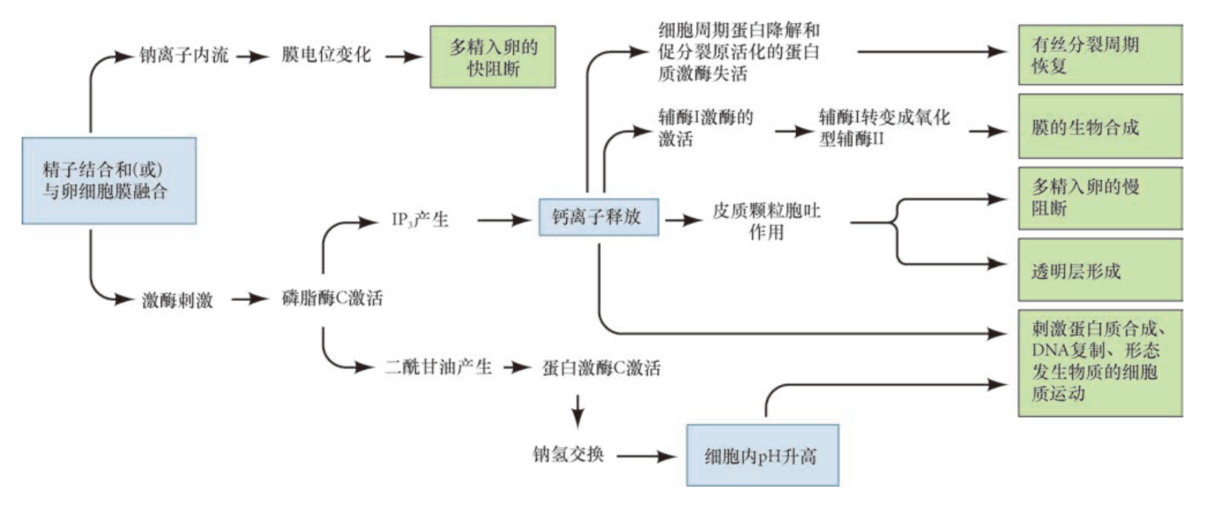 image-20260102154300159