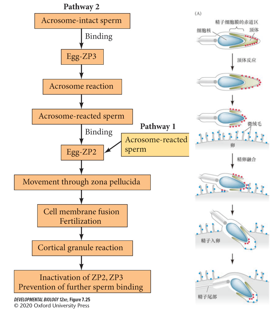 image-20260102163331709