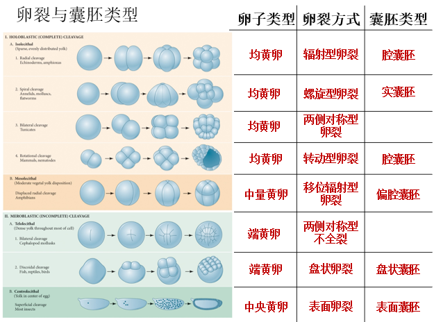 image-20260102224504918