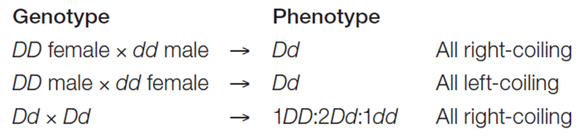 image-20260102231659234