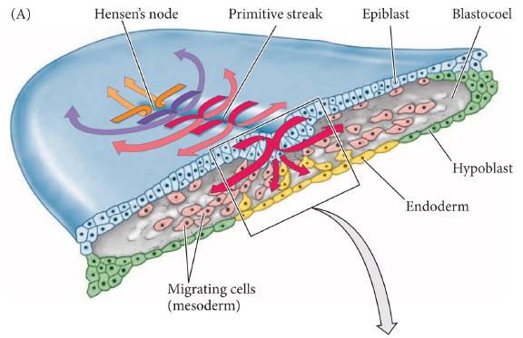 image-20260103204928765