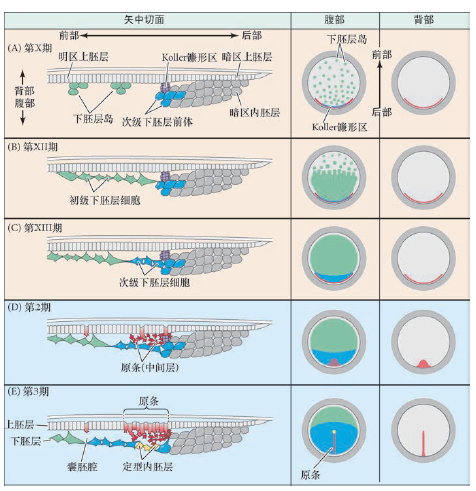 image-20260103205559956