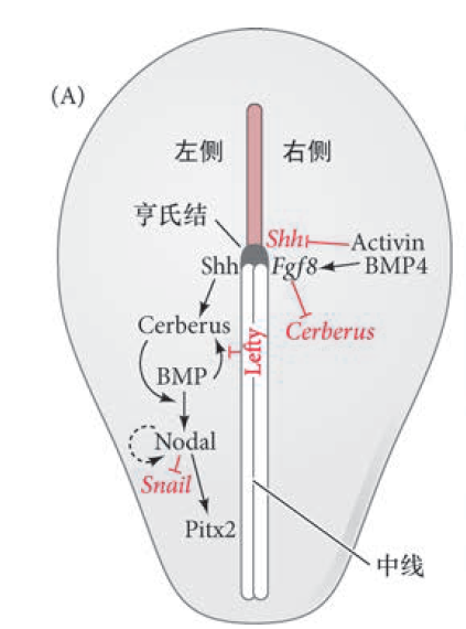 image-20260103211031193