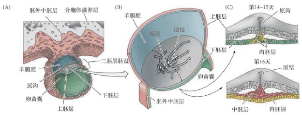 image-20260103212929617