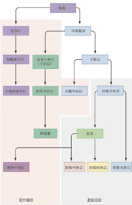 image-20260103213154065