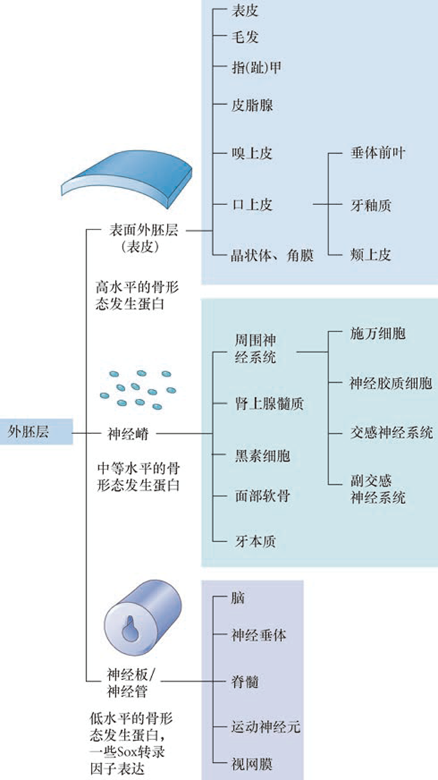 image-20260104103258459