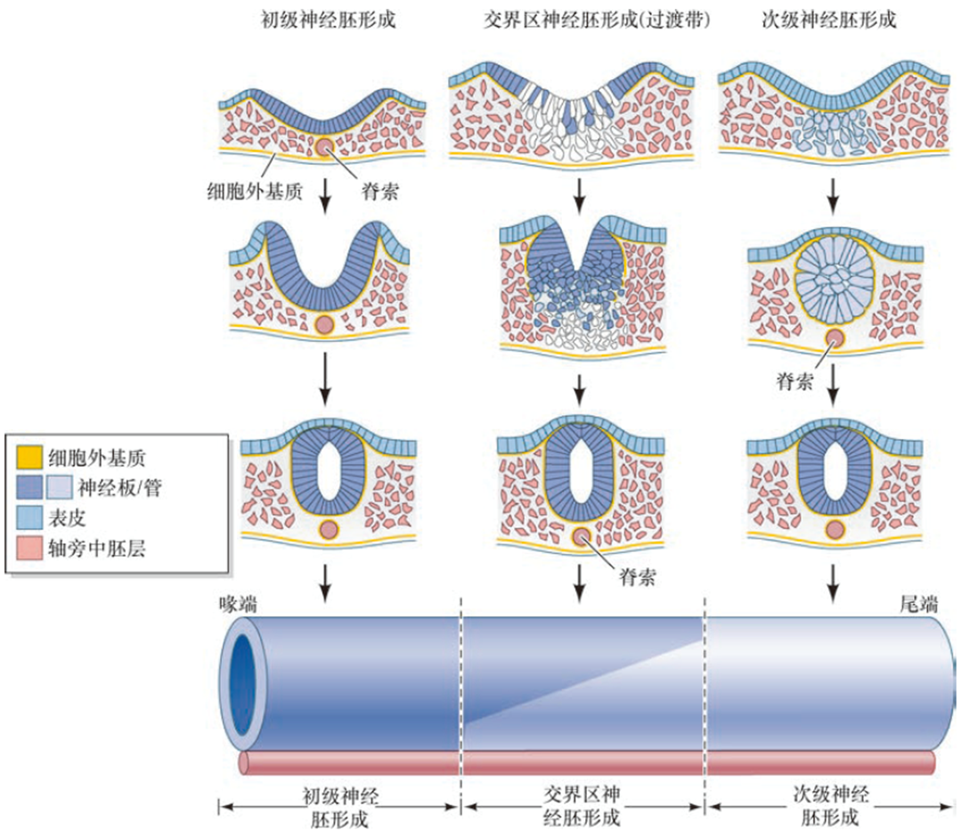 image-20260104105304357