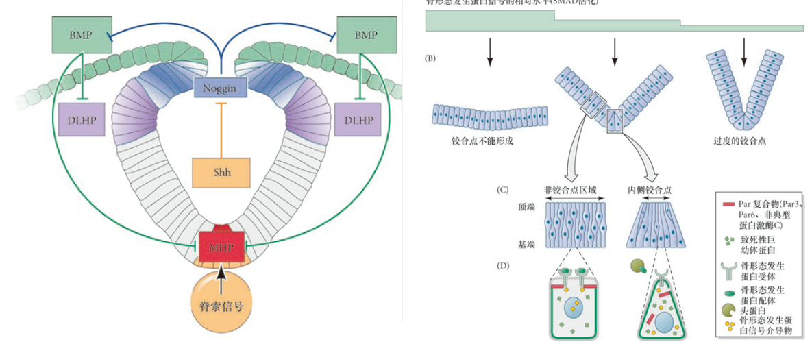 image-20260104110828984