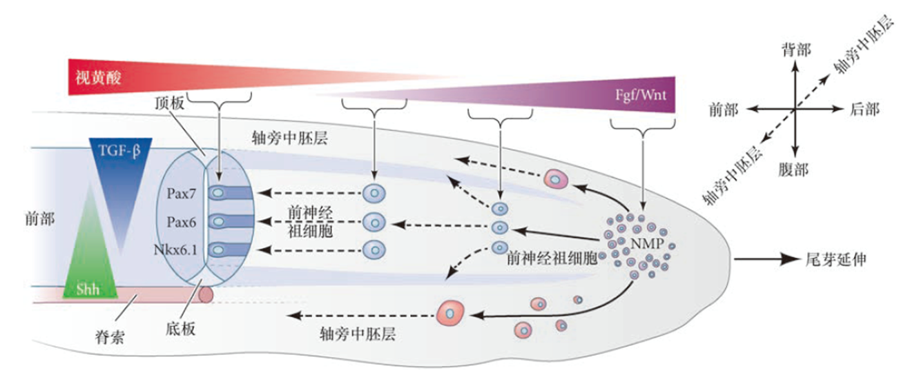 image-20260104113929061