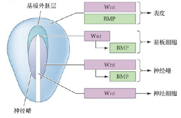 image-20260104133825664