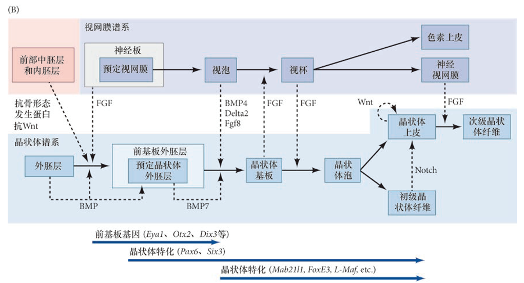 image-20260104134916535