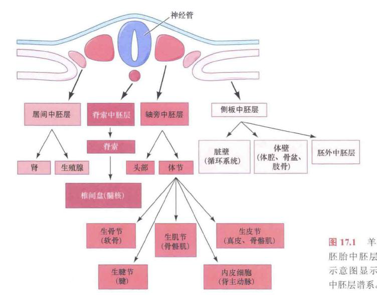 image-20260104140730127