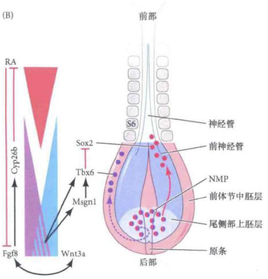 image-20260104143926448