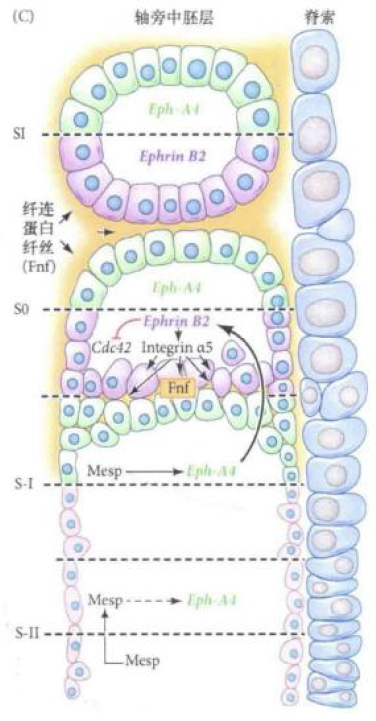 image-20260104144817925