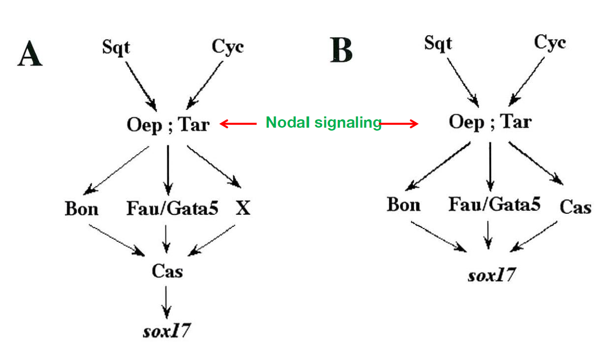 image-20260104154830187