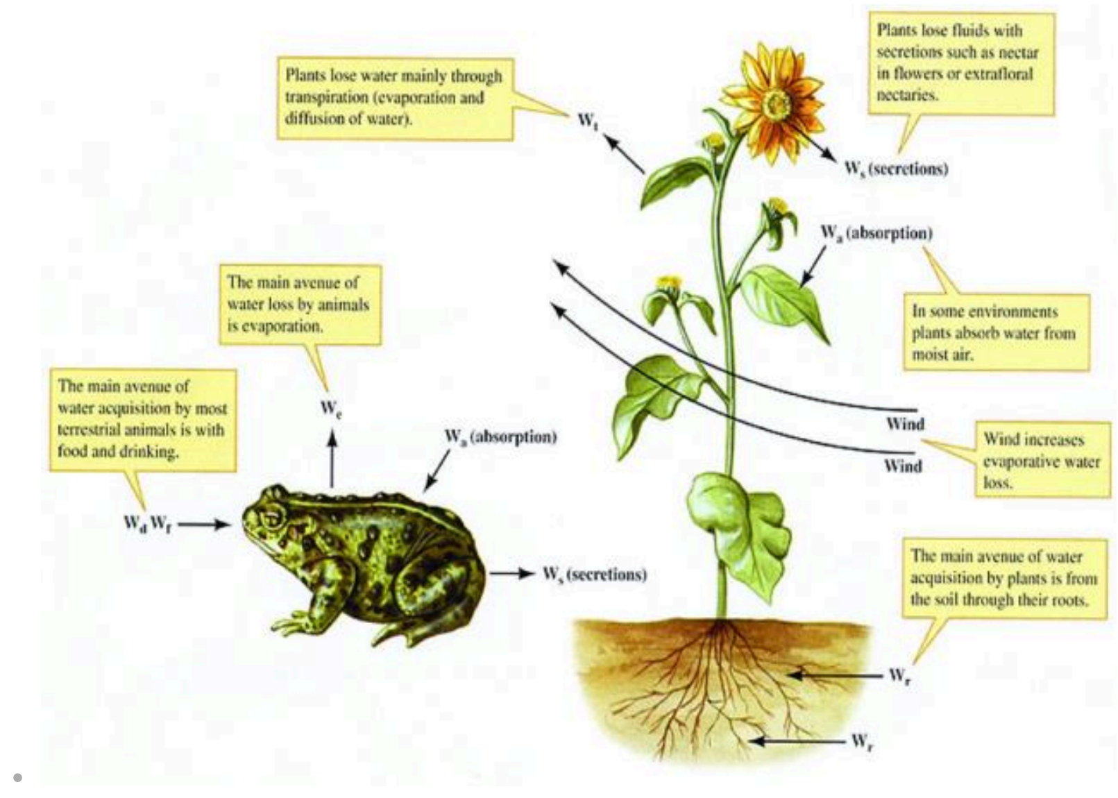 image-20250103153459324