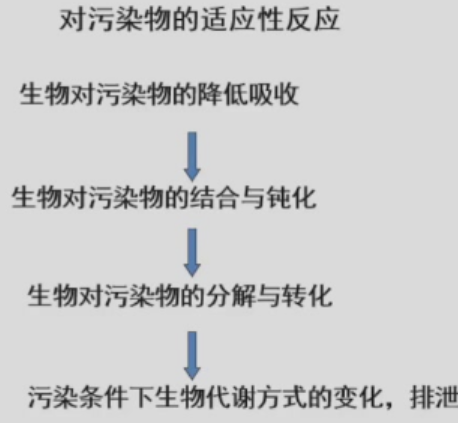 image-20250103154210661