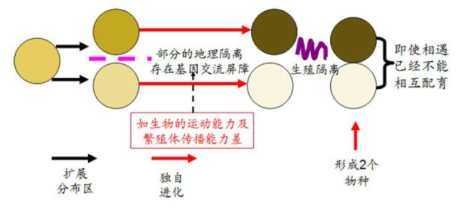 image-20250103162707179