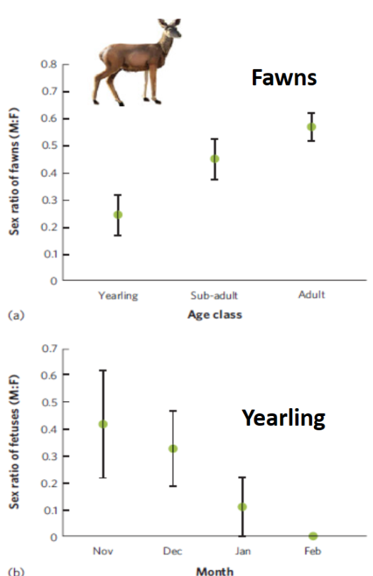 image-20250103165745133