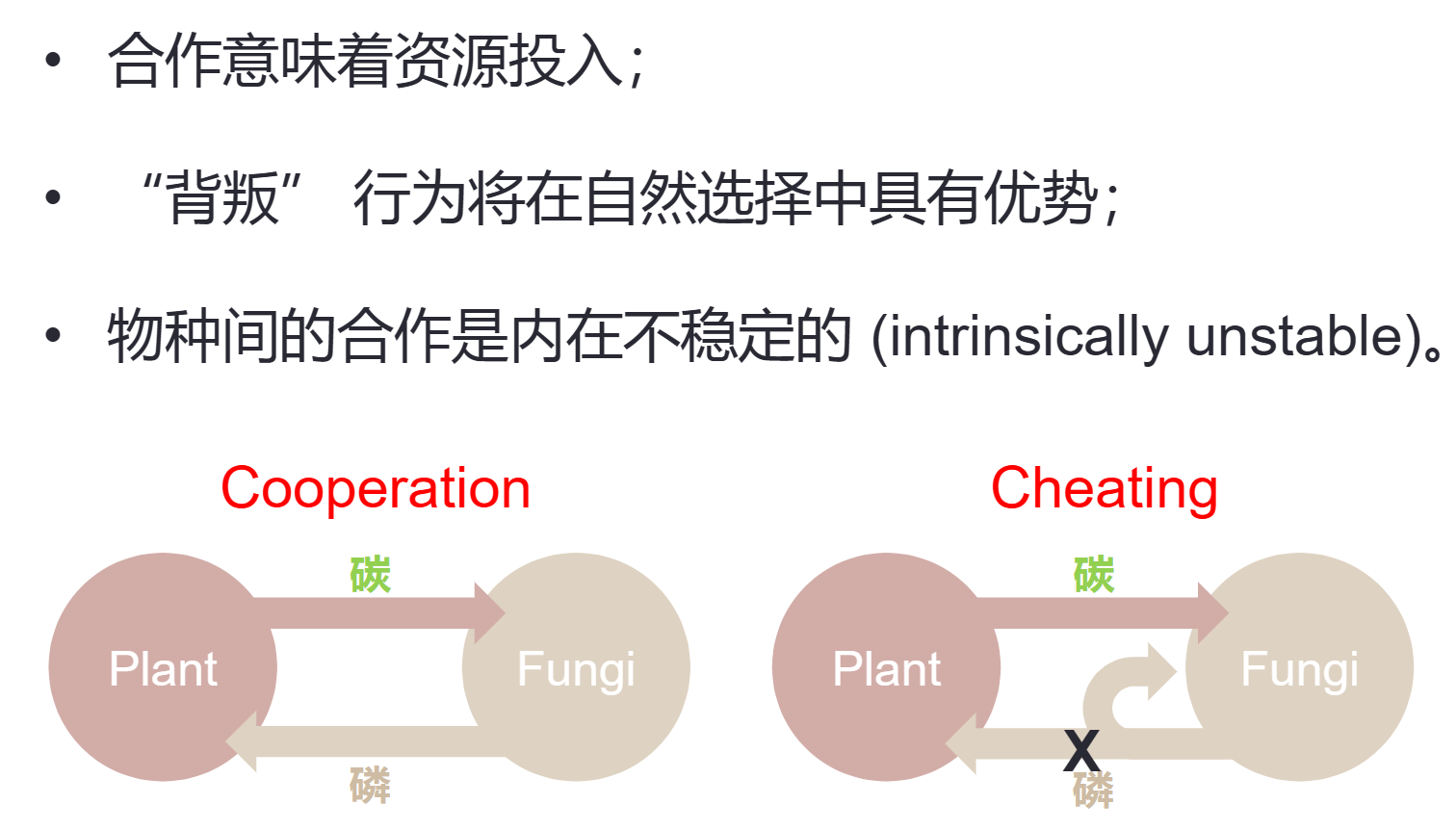 image-20250105234948978