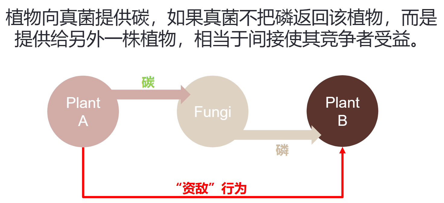 image-20250105235008987