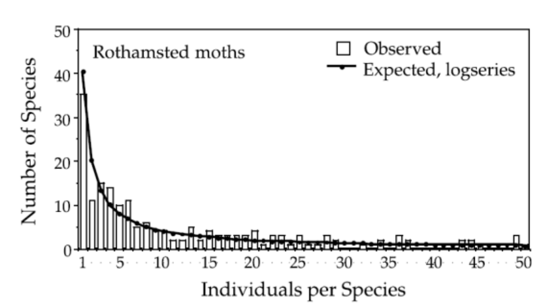 image-20250107203337593