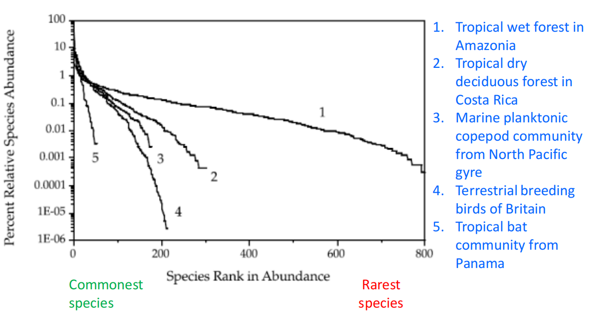 image-20250107210213839