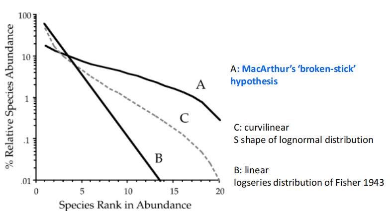 image-20250107211226583