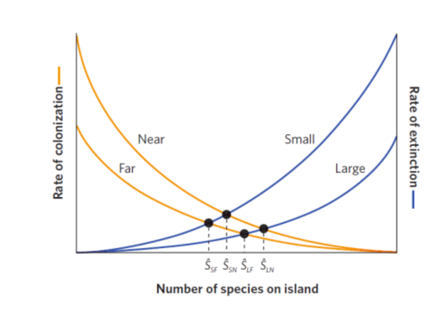 image-20250107214957031