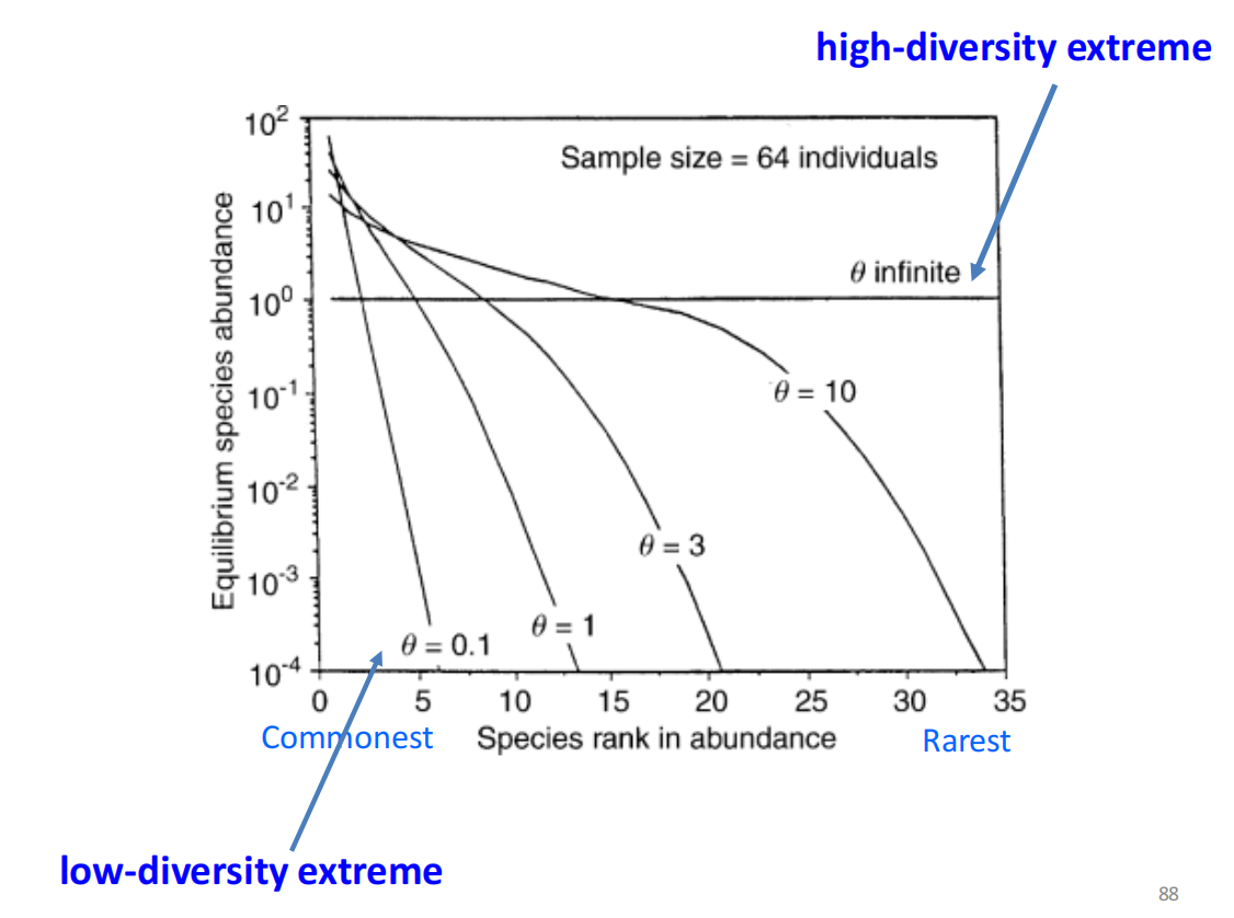 image-20250107223934069