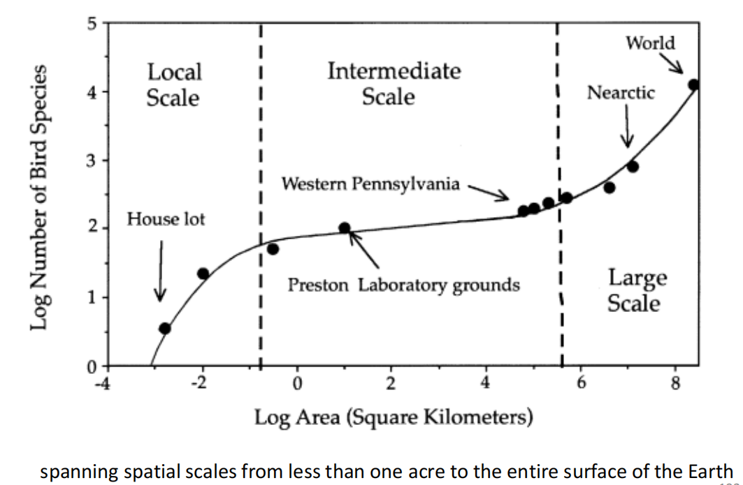 image-20250107231328403