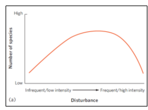 image-20250108132823513