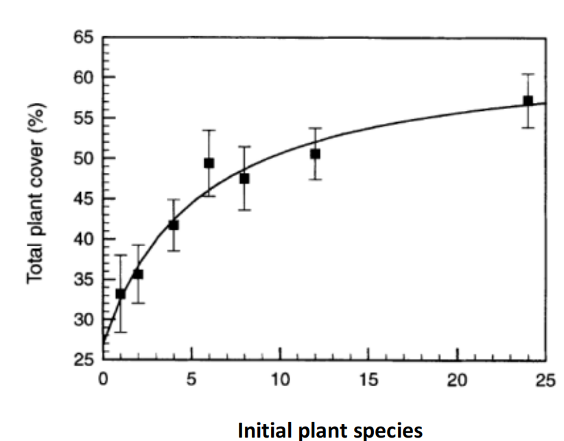 image-20250108133550287