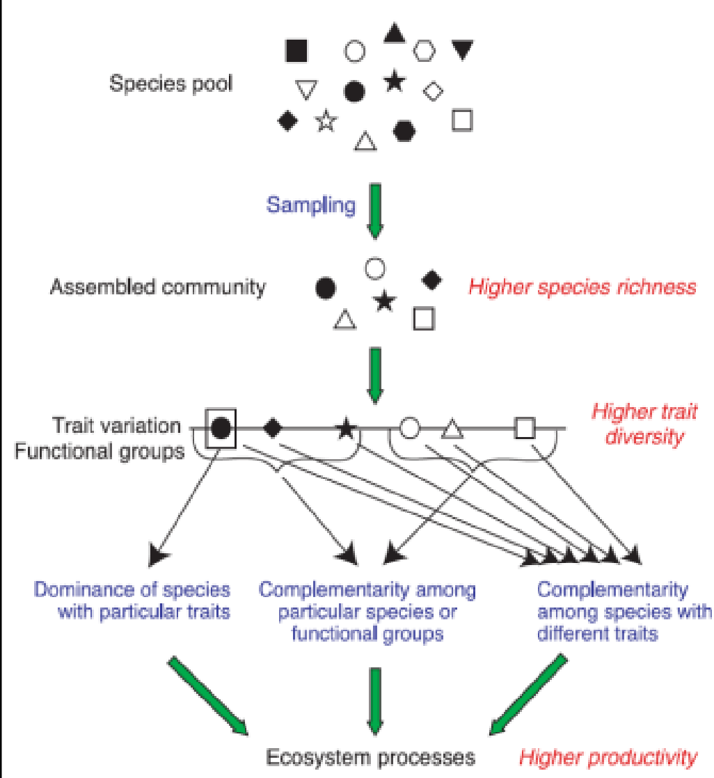 image-20250108135035179