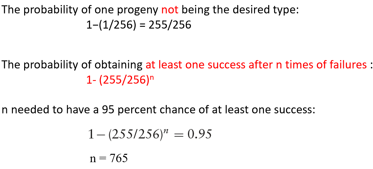 image-20260107165820910