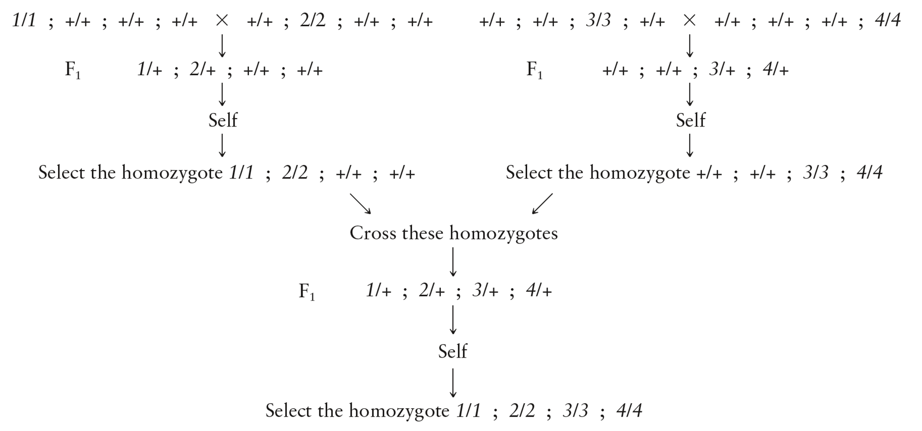 image-20260107170054894